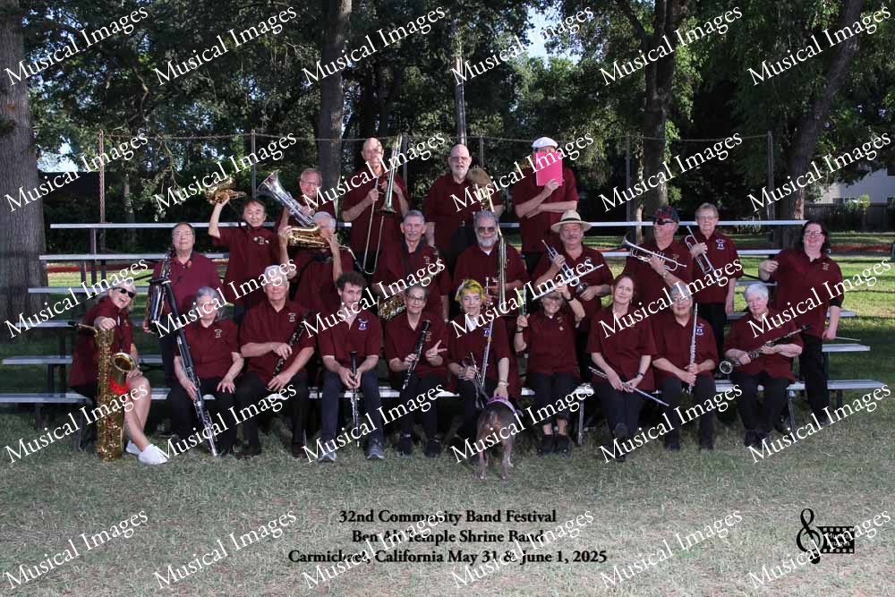 Musical Images
